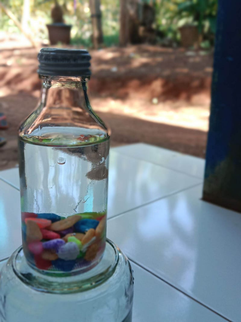 Cara Memelihara Ikan Cupang Dalam Botol